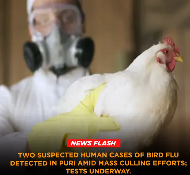 Odisha alert bird flu